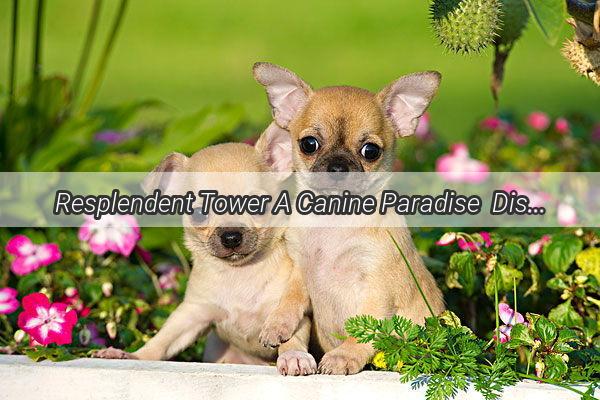 Resplendent Tower A Canine Paradise  Discover the Number of Dogs Calling Resplendent Tower Their Home